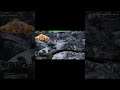 bro how many mudcrabs | skyrim | CrowdControl
