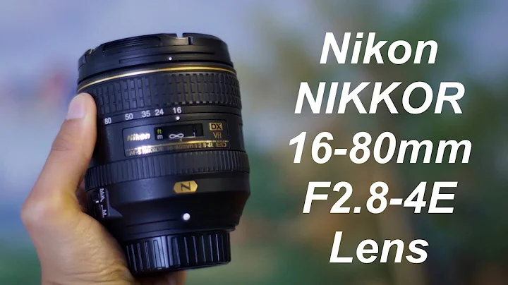 A Year & a Half Later | Nikon NIKKOR 16-80mm F/2.8...
