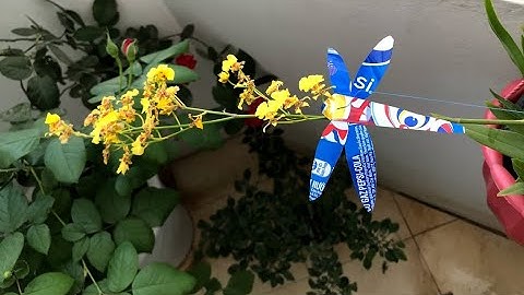 Diy crafts, Ý tưởng sáng tạo hay làm chuồn chuồn bằng lon Pepsi siêu đẹp, siêu dễ