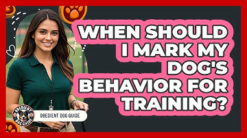 When Should I Mark My Dog