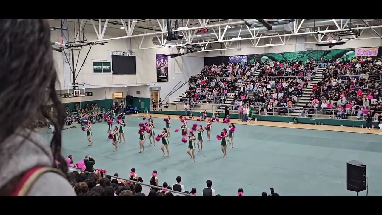 SWHS Dragonfire Dance (Pep rally pom) - YouTube
