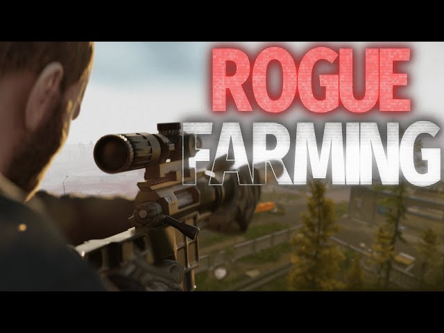 NEW Best Budget Rogue Farming Guide in Escape from Tarkov 0.13