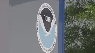 FEMA, NOAA job cuts spark protest at Museum Park