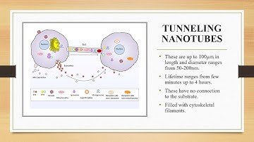Nanotubes presentation video