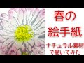 【春の絵手紙】花のかきかた　お子様や初心者向け　ナチュラルアート　絵手紙の基礎基本　簡単な絵手紙　デイジーの描きかた　絵手紙書き方解説　絵手紙風の花の描き方　簡単アート　子供から大人向けアート