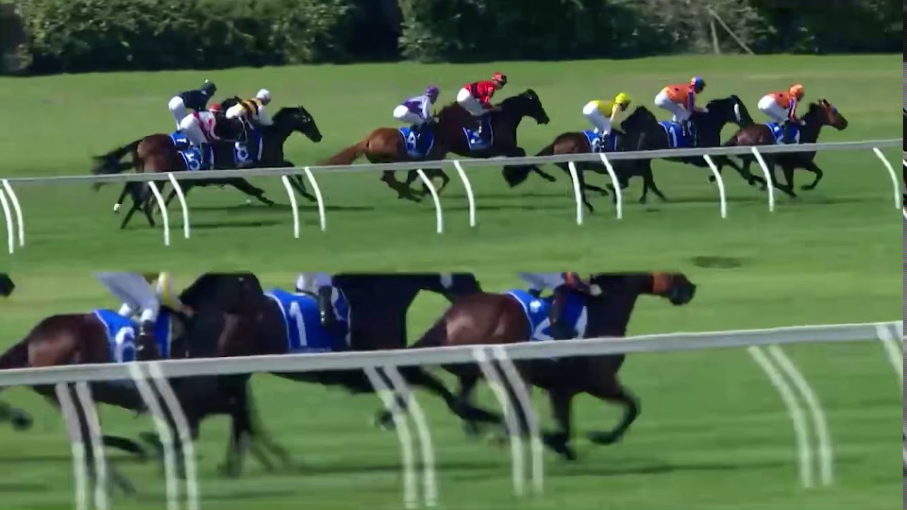 Sistema Stakes | Sword Of State ⚔️