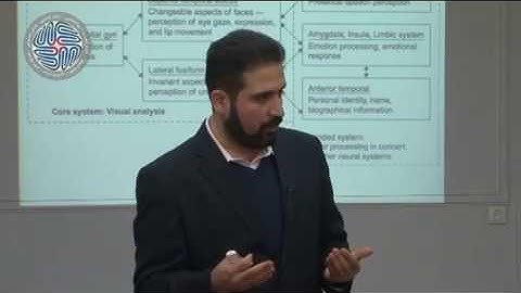 Basics of Cognitive Neuroscience: Farsi, Session Eleven, Part Five