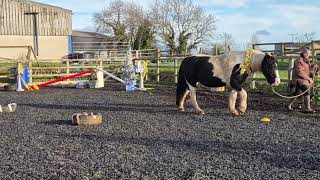 Debra Jacques & Ruby ADVANCED level December 2024.