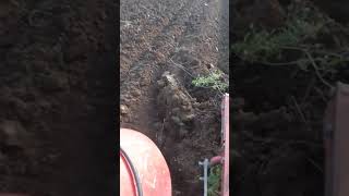 Ploughing IMT 558