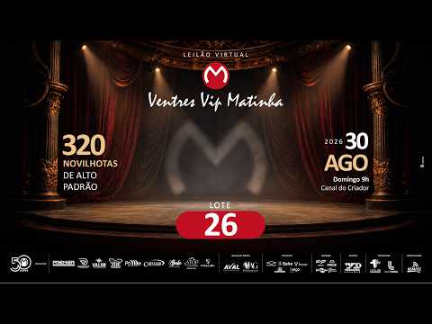 LOTE 26