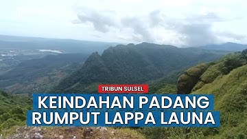 Keindahan Padang Rumput Lappa Launa Barru Banyak Diminati Wisatawan