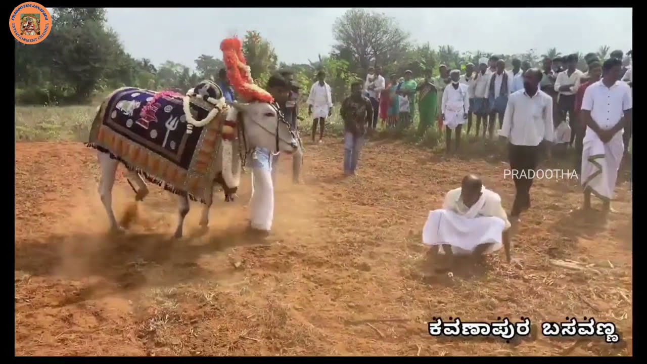 Kavanapura Basavanna | ಕವಣಾಪುರ ಬಸವಣ್ಣ | Dharmakshethra | Degula Darshana | Shree Chamundeshwari