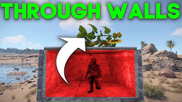 RUST how to pass flowers through walls in rust. bug/glitch
