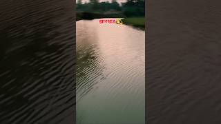 jharkhand Giridih water PUL #trendingreels #viralchallenge  #viwes10milionplace #viralvideo #vews