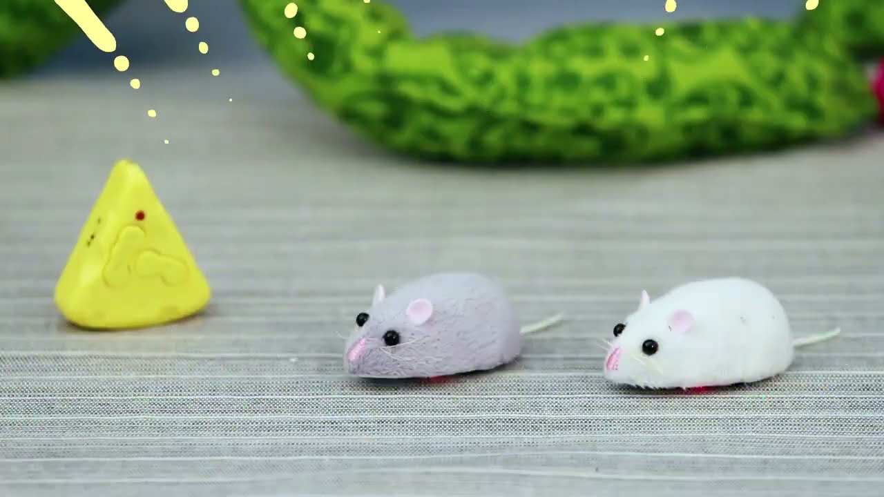 Bored cat? Destructive behavior? Time for ULTIMATE PREY!