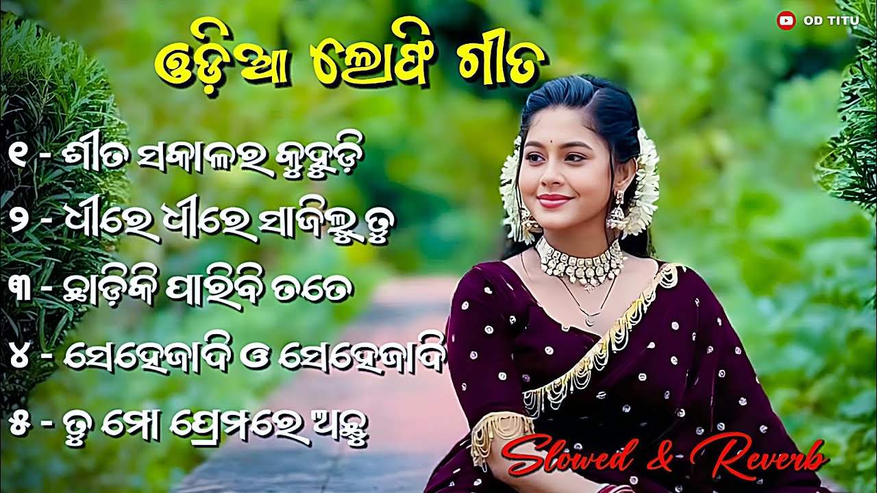 Odia Lofi Songs ♥️ Odia Album Song 🌿 Odia Song Lofi Mix 😍 New Odia Album Song