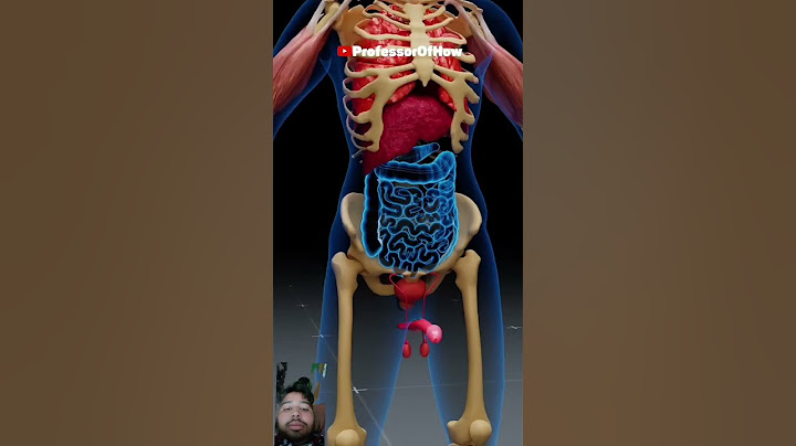 Bryan johnson Experiment 3D Animation se jane