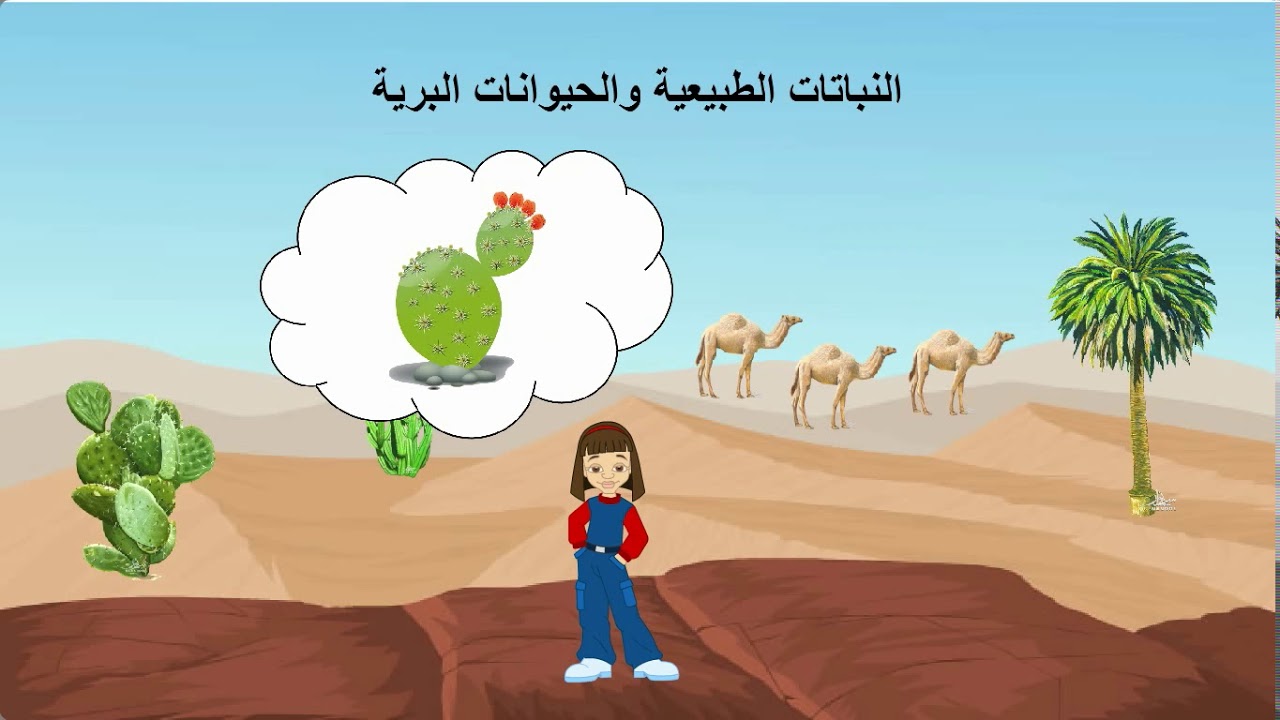 النباتات الطبيعية والحيوانات البرية