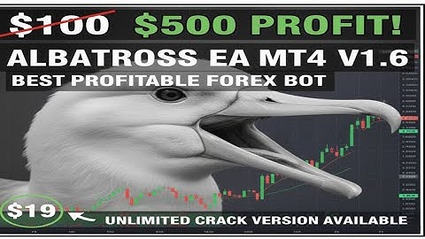 Albatross ver4 V1.6 – Best Forex EA | 2025 Powerful Trading Bot | Daily Profits EA