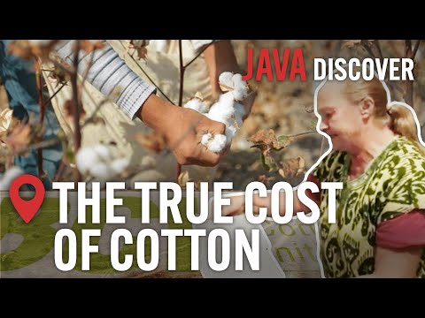Cotton Industry Secrets: How the 'Ethical' Cotton Industry is a Barbaric Cash Crop | Documentary documentary thumbnail