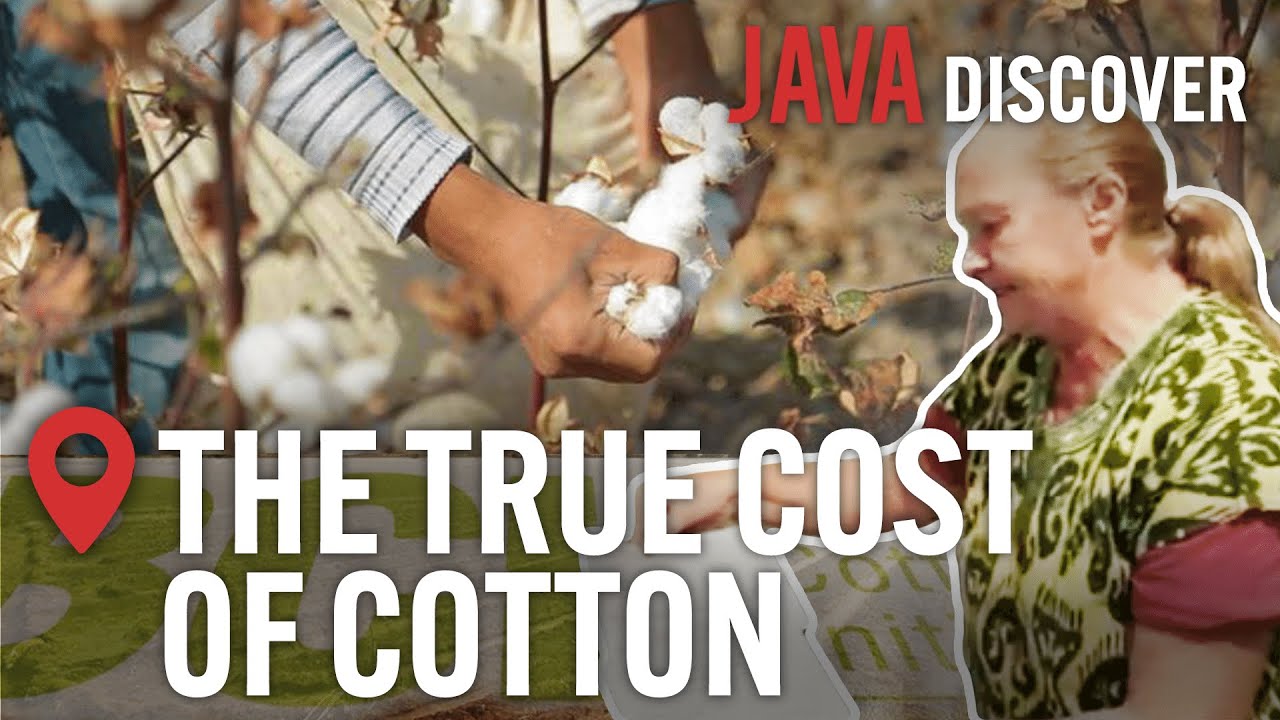 Cotton Industry Secrets How the 'Ethical' Cotton Industry is a