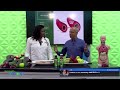 Reversing Hypertension With Food