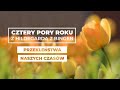 Przekleństwa naszych czasów || Cztery pory roku ze św. Hildegardą #23