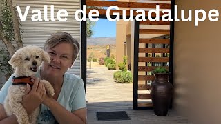 A Day Trip to Valle de Guadalupe Wine Region in Baja California by Gene & Renee Travel Adventures 1,105 views 2 months ago 7 minutes, 21 seconds