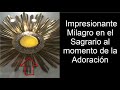 MILAGRO! “ LA HOSTIA ESTA VIVA, LA HOSTIA COBRA VIDA&quot; PALPITA AL MOMENTO DE LA ADORACION EUCARISTICA