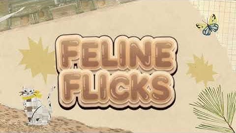 A nova intro do canal ❤️😍