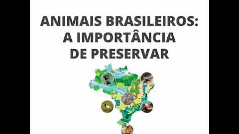 O que podemos fazer para preservar a fauna brasileira?