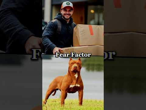 Delivery Guy Vs.
