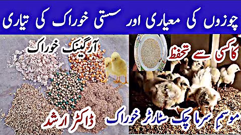 Chicks Feed Formulation | Chicks Starter Feed | Poultry Feed in Pakistan | Dr Arshad