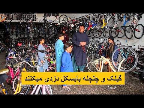 گیلک و چلچله بایسکل دزدی میکنند