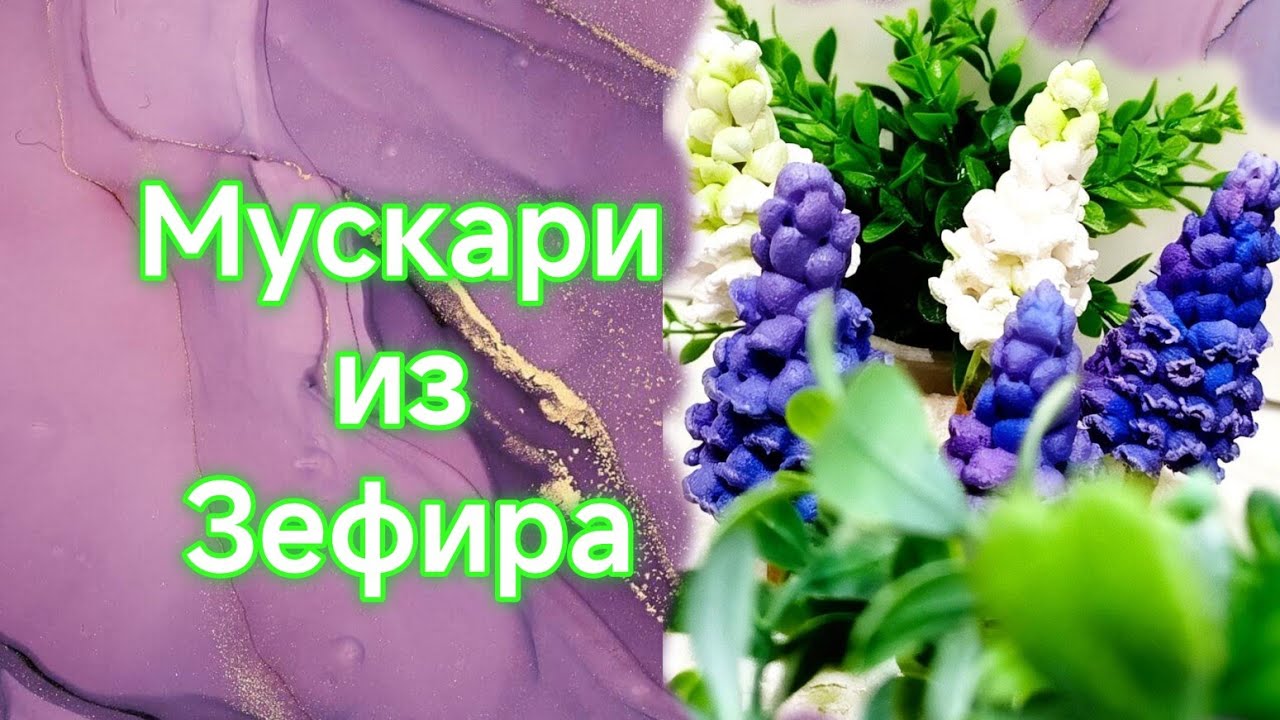 МУСКАРИ ИЗ ЗЕФИРАfLora  в прямом эфире!