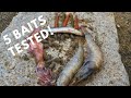 WHICH Bait is BEST for the SURF? (Underwater Cam) + Big Surprising Bite!