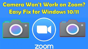 Fix Camera Not Working on Zoom in Windows 11/10 (2025 Guide)