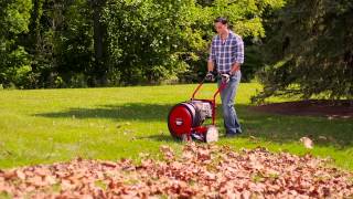 Choosing the Right Leaf Blower | Troy-Bilt®