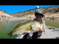 Lobina Gigante Ataca mi Swimbait! | Pesca en la Presa de Zimapan