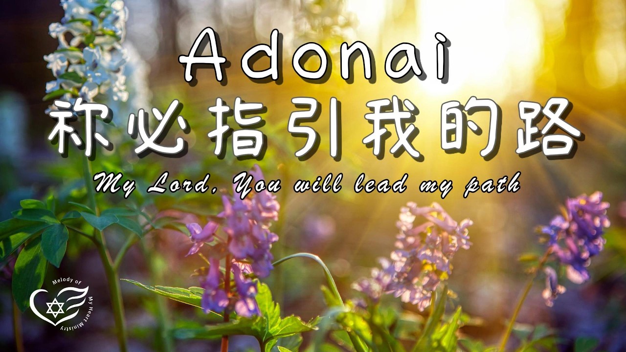  - HeartVod