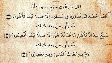 سورة يوسف*محمود الطبيب