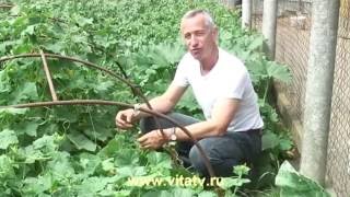 Готовим СУШИ дома, ХАЛЯВА и подарки в День Рождения Скульптора Тела - 7 серия Готовим СУШИ дома, ХАЛЯВА и подарки в День Рождения Скульптора Тела - 7 серия