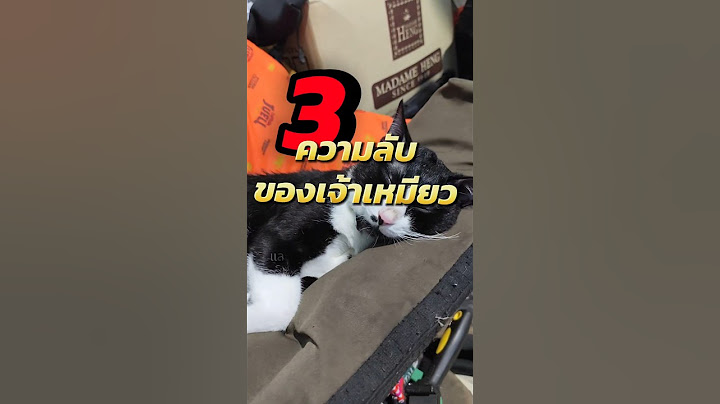 3ความลับของเจ้าเหมียว!!! #cat #cutecat #pets #สัตว์เลี้ยง