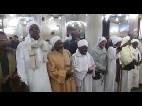 مرحبا بالمصطفي يامسهلا