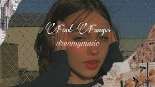 Foot Fungus Slowed And Reverb Lyrics Music Video