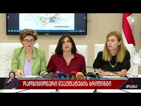 ოპოზიციონერი დეპუტატების ბრიფინგი