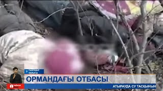 Павлодар облысында орманда өмір сүріп келген отбасы табылды