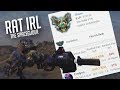 Rat irl montage  spaceglider