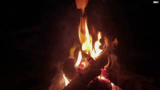 Bonfire at Night 🔥 Crackling Fire Sounds – Relaxing Campfire Ambience for Sleep