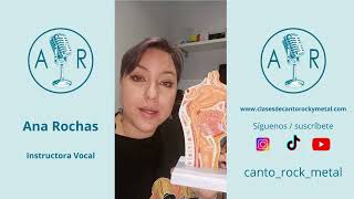 Que es la glotis